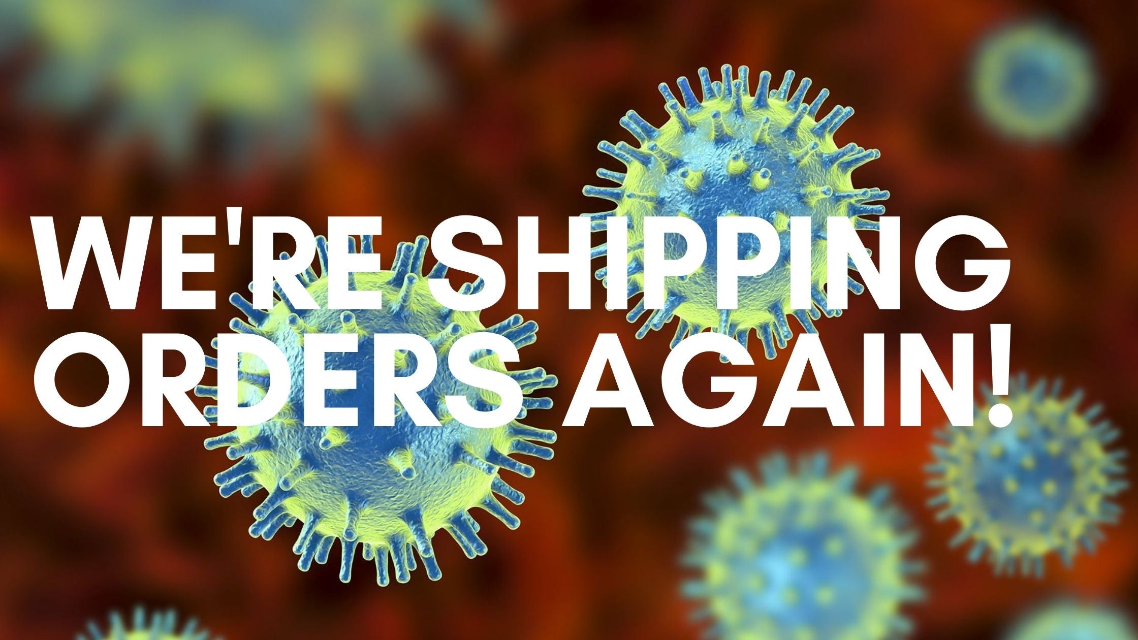 WE'RE SHIPPING ORDERS AGAIN!